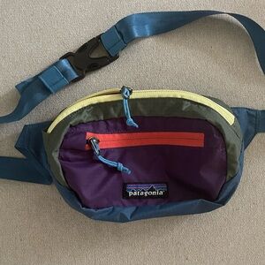 Patagonia Mini Hip Bag